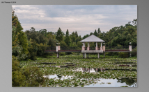 Botanical Gardens 2014 10 SS-37.jpg